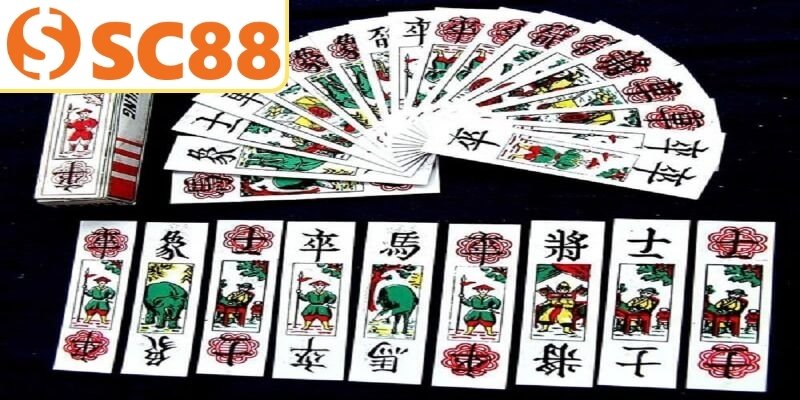 Bật mí thông tin bài tam cúc