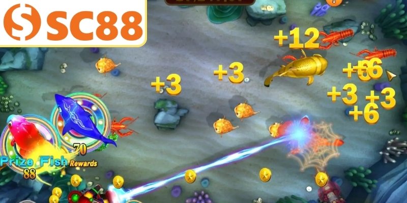 Cách thức để truy cập ngư trường 