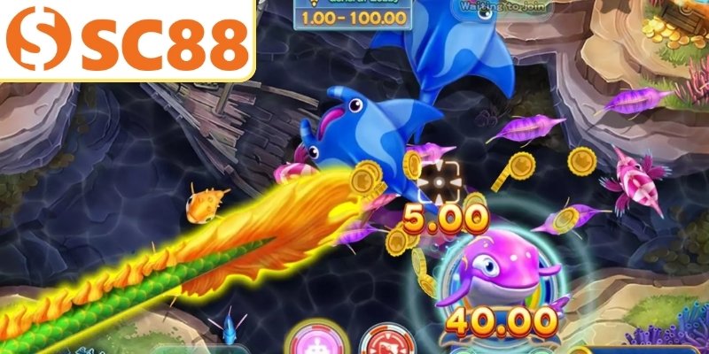 Kinh nghiệm chơi bắn cá chất lượng