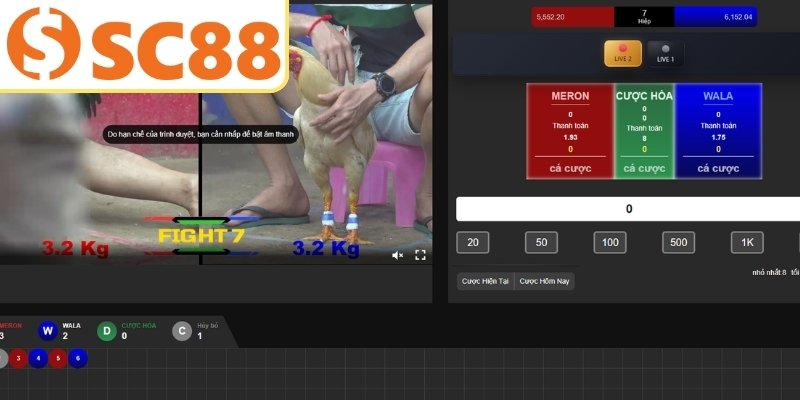 Những cửa cược đá gà SC88