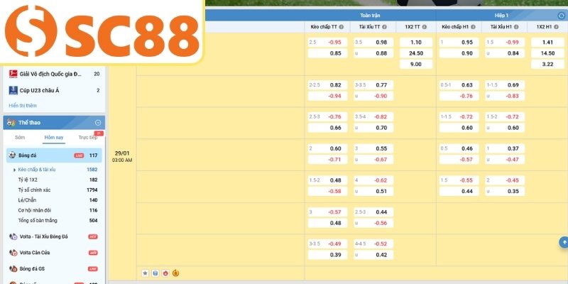 Cách tham gia cá cược